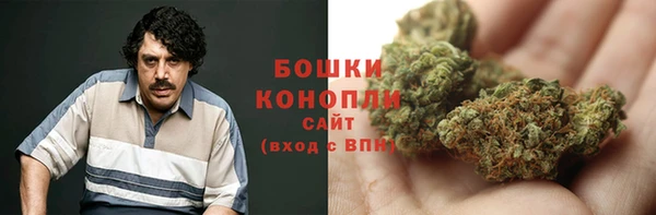 гидропоника Ельня