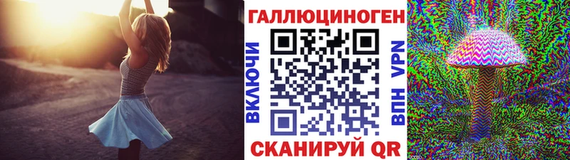 Купить закладки  Калининск  Псилоцибиновые грибы Magic Shrooms 